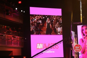 avnawards_2019_154