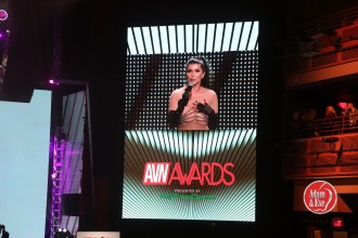 avnawards_2019_160