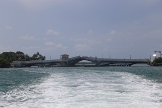 miami17_0064