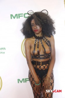 miami19_awards_256